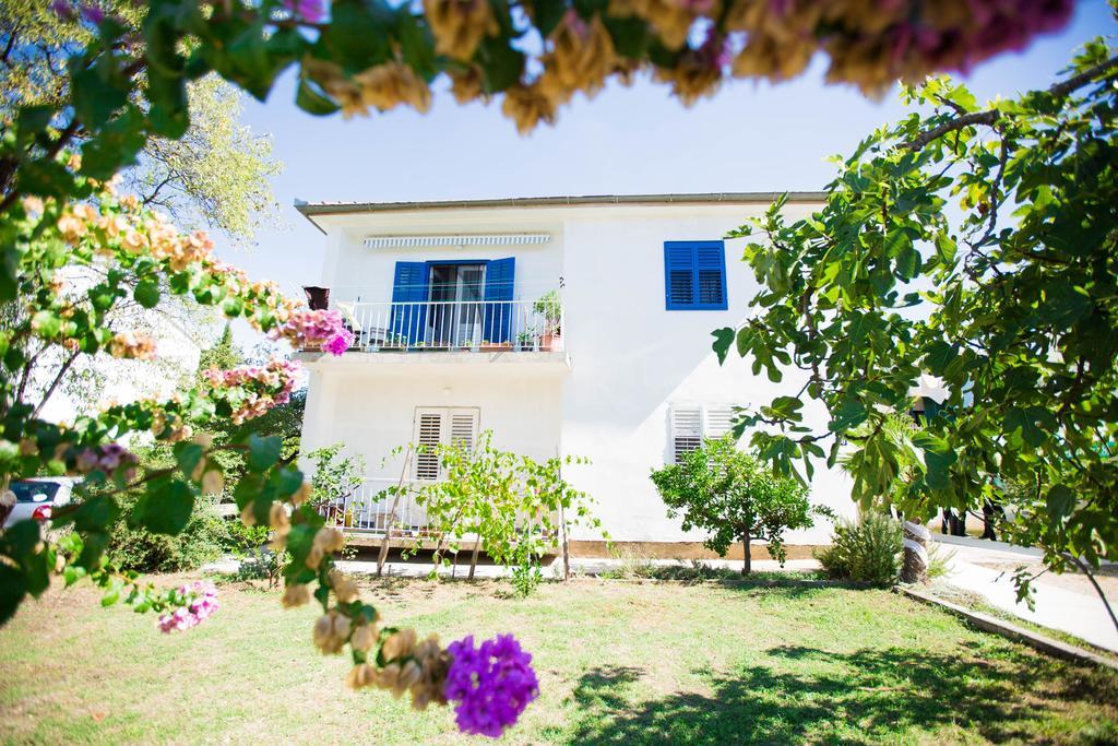 Morosini Apartments Biograd Na Moru Dış mekan fotoğraf